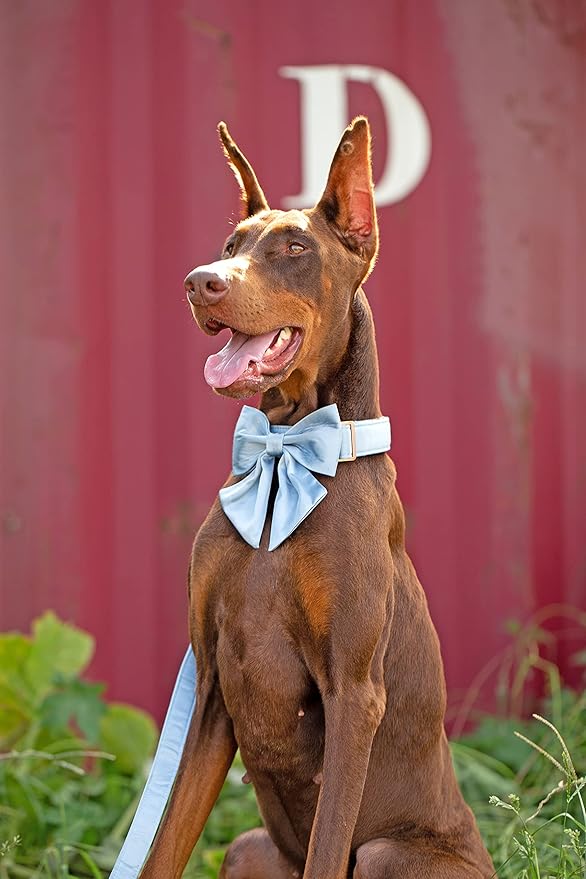 Unique style paws Silk Blue Color Dog Collar Adjustable Durable Dog Collar with Bow Wedding Bowtie Collar for X-Large Dogs