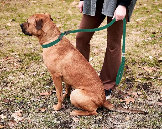 Slip Lead Dog Leash,Soft Corduroy 6 FT Dog Training Leash for Medium Large Dogs,No Pull Slip Leash and Collar with Padded Handle,Dark Green