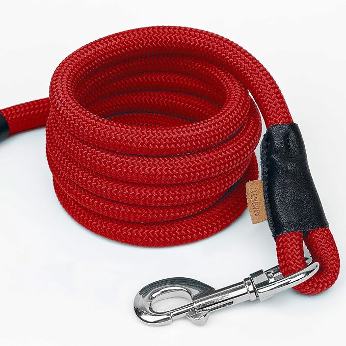 Dog Leash, Braided Rope Traction – Walking Training Lead for Small Dogs ((1/3") x 6FT, Red)