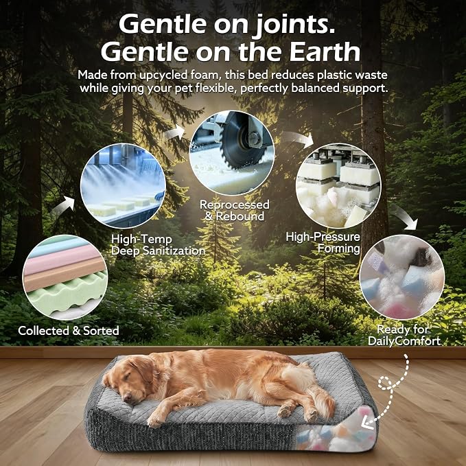 JOEJOY XL Orthopedic Dog Bed for Large Dogs Up to 80lbs - Extra Thick Foam Pet Bed Sofa with Bolster Sides, Large Sized Dog Bed with Removable Washable Cover, Non-Slip Bottom, Light Grey (42"x30")