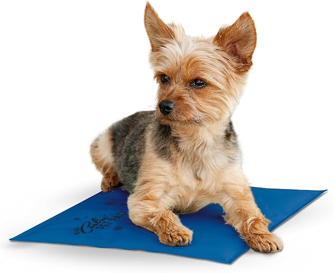 K&H Pet Products Coolin' Pet Pad Blue Small 15 X 11 Inches