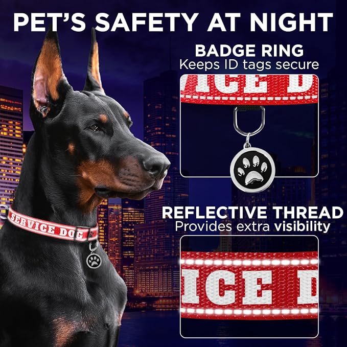 TECEUM Reflective Pet Collar – Red - Service Dog – XS – Extra Soft Padding – Basic Nylon Dog Collar – Quick Release Buckle – Fits Small, Medium and Large Dogs, Puppies, Cats
