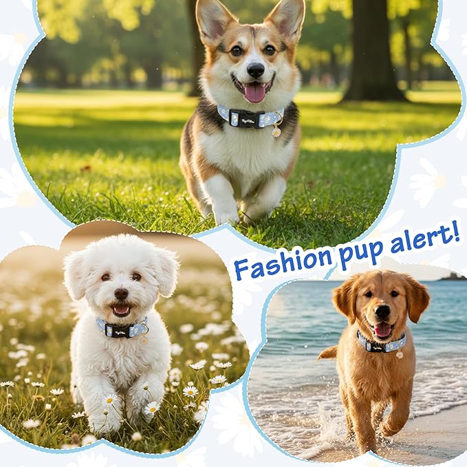 Dog Collars for Small Dogs, Dog Collar with Daisy Patterns, Summer Puppy Collar Blue Dog Collar with Exquisite Pendant, Soft Adjustable Collars with Quick Release Buckle for Gifts-S