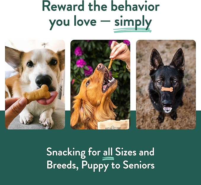 Portland Pet Food Company Pumpkin Dog Treats Healthy Biscuits for Small Medium & Large Dogs - Grain-Free, Human-Grade, All Natural Cookies, Snacks & Training Treats - Made in The USA - 3 Pack (5 oz)