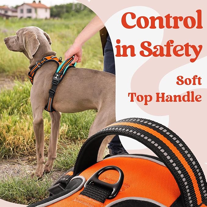 rabbitgoo Dog Harness for Large, No Pull Easy On & Off with 3 Buckles Pet Harness, Adjustable Soft Walking Vest with 2 Clips and Handle, Reflective for Extra Large Dogs, Orange, XL