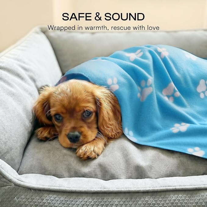 LINENLUX Cute Dog Blanket for Small Medium Dogs 6-Pack Soft Stretchy Fleece Blankets for Pet Cat Puppy Warm Wrinkle-Resistant Throw for Couch Bed Outdoor Light Blue 31x24 inch (Pack of 6)