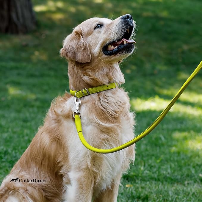 CollarDirect Rolled Leather Dog Collar, Soft Padded Round Puppy Collar, Handmade Genuine Leather Collar Dog Small Large Cat Collars 13 Colors (15-19 Inch, Lime Green Textured)