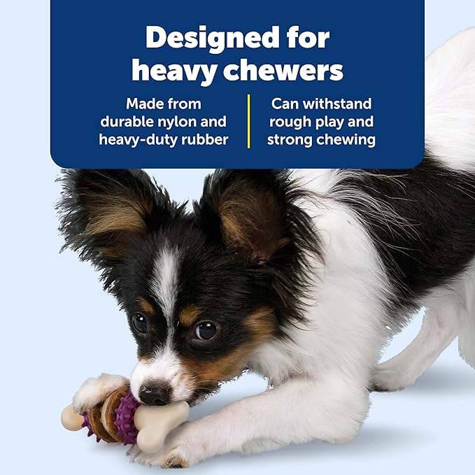 PetSafe Busy Buddy Bristle Bone Dog Chew Toy - Treat Holding Toothbrush Toy for Hard Chewers - Helps Keep Your Dog's Teeth Clean - Durable, Interactive - Purple, Extra Small