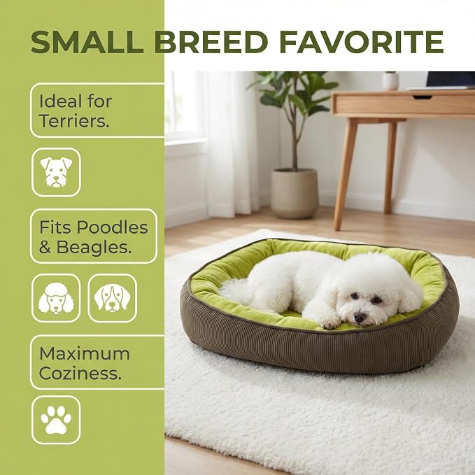 Calming Dog Bed for Medium Dogs 26"x19" - Orthopedic Washable Pet Bed with Anti-Slip Bottom, Indoor Soft Cat Bed with Removable Cover (Lime Green)