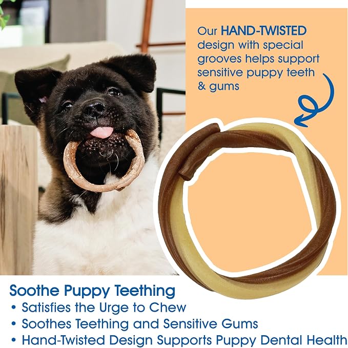 N-Bone Puppy Teething Rings Taste of Texas Queso Con Carne Flavor 3 Count (Pack of 2)