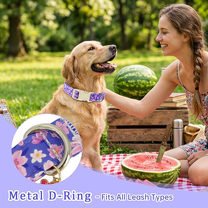 Floral Dog Collar, Spring Summer Cute Purple Flower Pet Collar for Small Medium Large Dogs, Cotton Puppy Collar with Adjustable Buckle, Girl or Boy Dog for Gifts & Daily Use-M