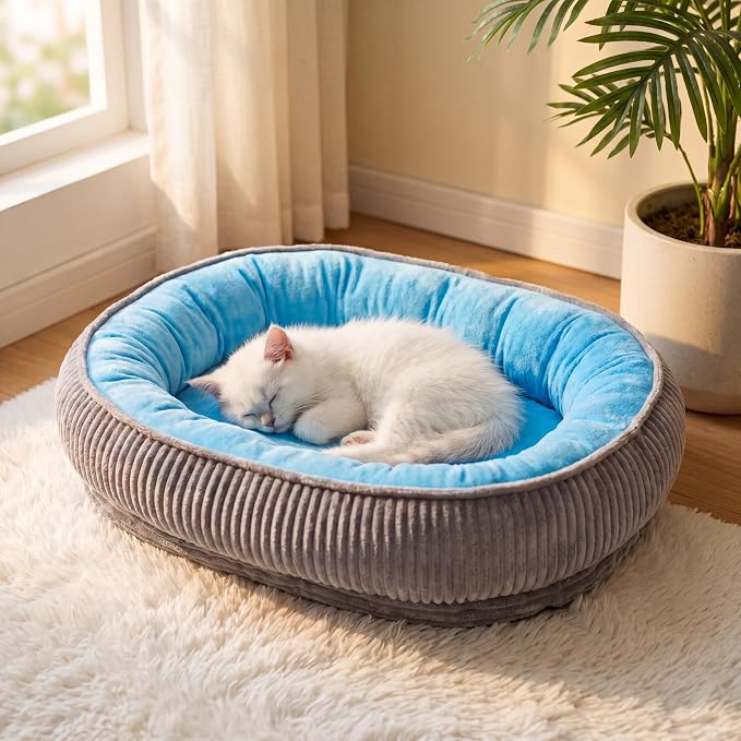 Calming Dog Bed for Medium Dogs 26"x19" - Orthopedic Washable Pet Bed with Anti-Slip Bottom, Indoor Soft Cat Bed with Removable Cover (Sky Blue)