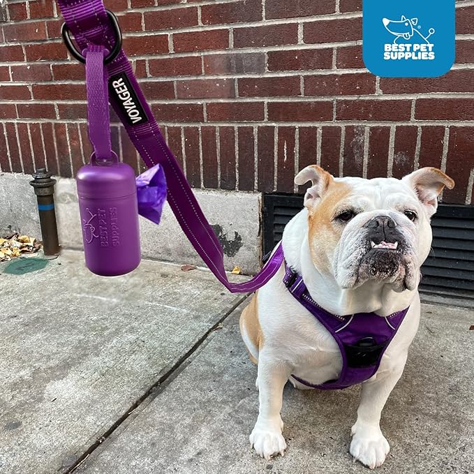 Best Pet Supplies Dog Poop Bag Holder Leash Attachment with 30 Bags, Reusable Dispenser for Travel, Walking, Park, and Outdoor Use, Durable with Clip-On - Fuchsia, Pack of 2