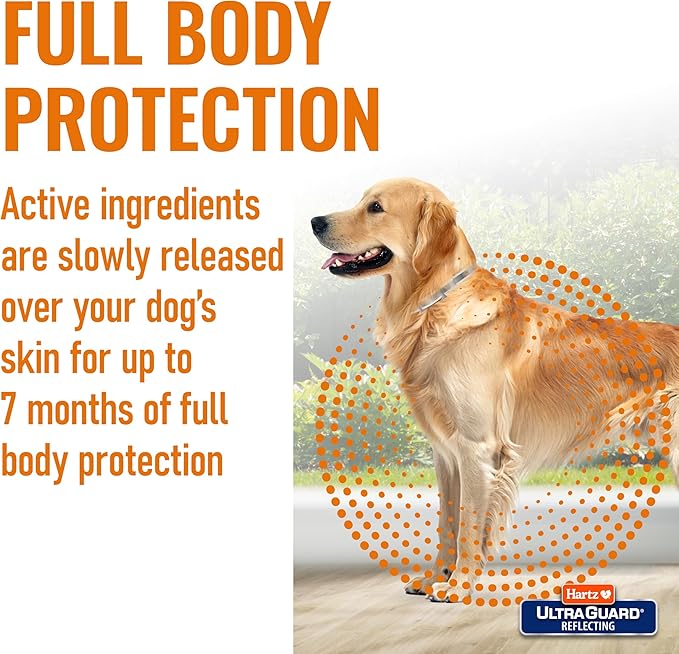 Hartz UltraGuard Flea & Tick Collar for Dogs and Puppies, 7 Month Flea and Tick Protection and Prevention Per Collar, White, Up to 20 Inch Neck