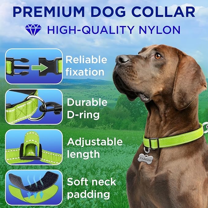 TECEUM Reflective Dog Collar – Acid Green – XL – Extra Soft Padding – Basic Nylon Pet Collar – Quick Release Buckle – Fits Small, Medium and Large Dogs, Puppies, Cats – ESA & Service Dog Options