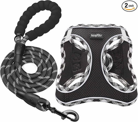 haapaw Dog Harness with Leash Set, No Pull Adjustable Reflective Step-in Puppy Harness with Thickened Padded Vest for Extra-Small/Small Medium Dogs