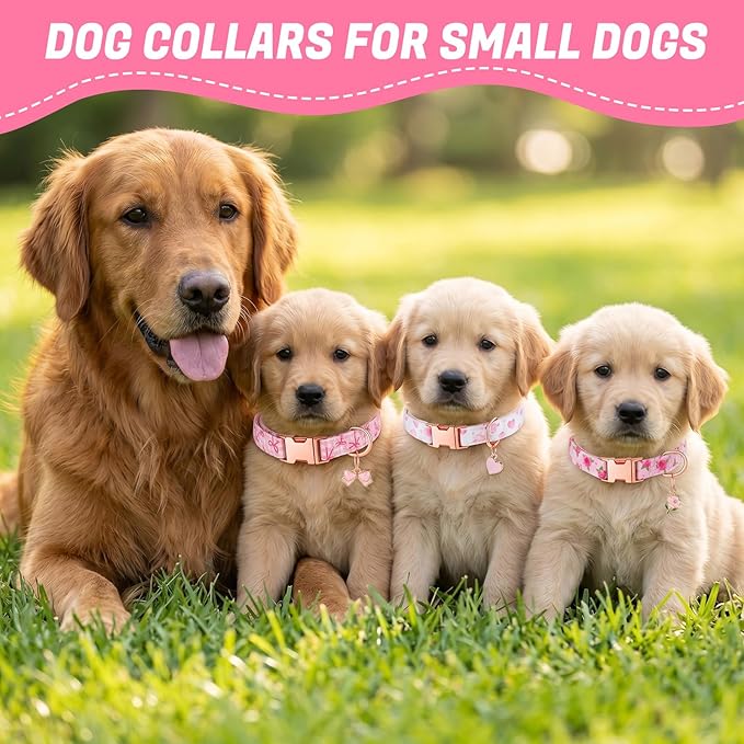 3 Pack Pink Dog Collars for Small Dogs Girl Dog Collar with Pendant for Girl Female Dogs Adjustable Puppy Collars Pet Collar