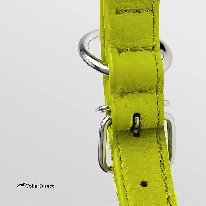 CollarDirect Rolled Leather Dog Collar, Soft Padded Round Puppy Collar, Handmade Genuine Leather Collar Dog Small Large Cat Collars 13 Colors (15-19 Inch, Lime Green Textured)