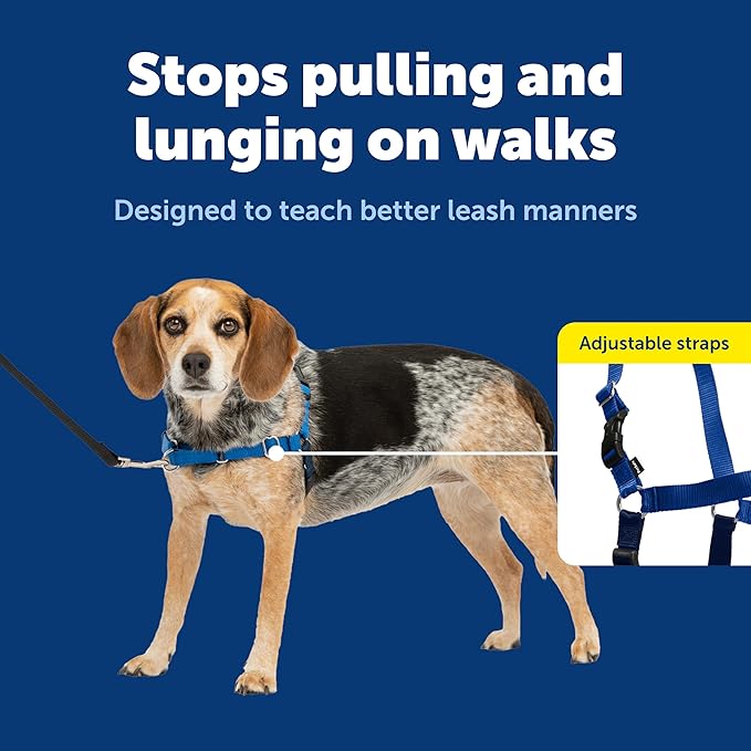 PetSafe Easy Walk No-Pull Dog Harness - Ultimate Harness to Help Stop Pulling - Pull-Free Walks - Take Control & Teach Better Leash Manners - Patented Martingale Loop Design - Royal Blue, Small/Medium