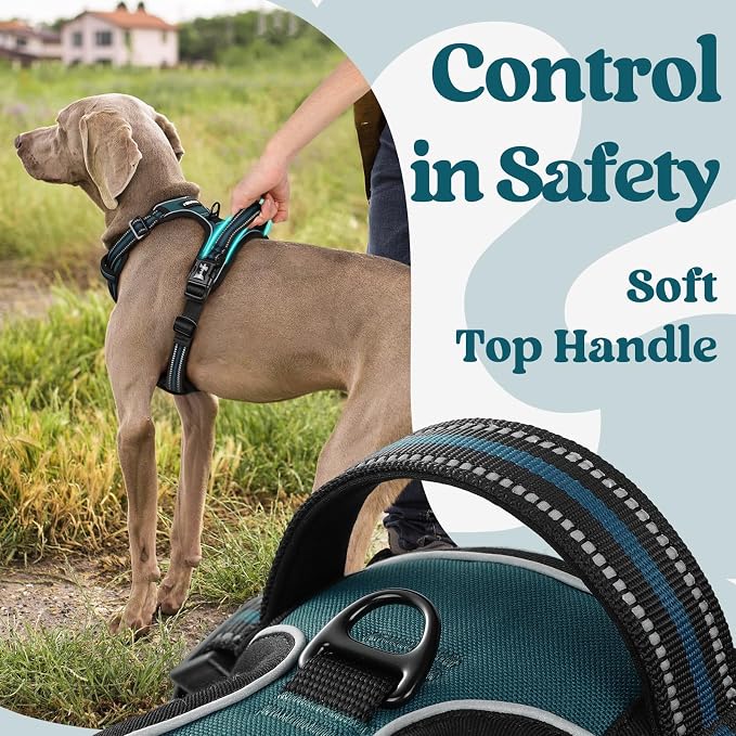 rabbitgoo Dog Harness Medium Sized, No Pull Easy On & Off with 3 Buckles Pet Harness, Adjustable Soft Walking Vest with 2 Clips and Handle, Reflective for Medium Dogs, Blue Coral, M