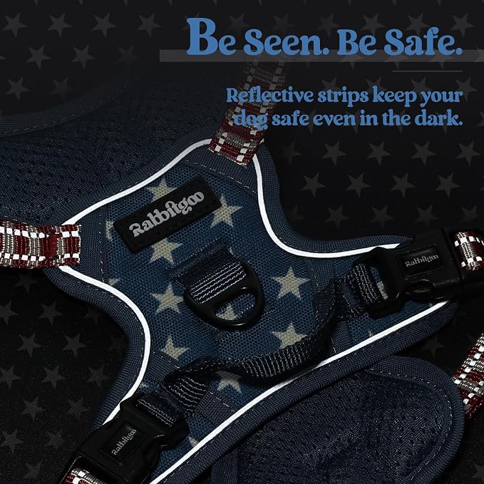 rabbitgoo Dog Harness No Pull with 2 Leash Clips, Adjustable Soft Padded, Reflective Oxford No Choke Pet Vest with Easy Control Handle for Large Dogs, Blue Star, XS