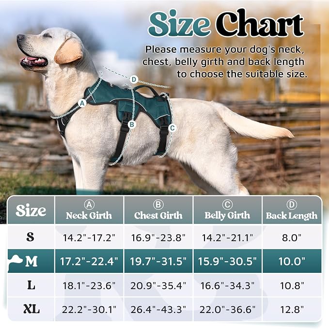 rabbitgoo Escape Proof Dog Harness Medium, Soft Padded Full Body Pet Harness, Reflective Adjustable No Pull Vest with Lift Handle and Leash Clip for Walking Hiking Training, Dark Green, M