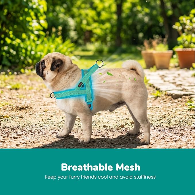 Didog No Pull Dog Harness with Breathable Mesh Padded, Full Reflective & Quick Fit Adjustable Vest Harness, Easy for Training Walking for Small & Medium and Large Dogs (Green, M:Chest 21-26")