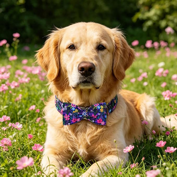 Elegant little tail Dog Collar, Pink Floral Pattern Pet Collars with Bow Girl Cotton Bowtie Collars Spring Puppy Gift Adjustable Pet Collar for Medium Dogs