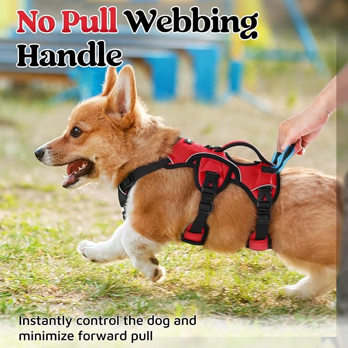 rabbitgoo Escape Proof Dog Harness, Soft Padded Full Body Pet Harness, Reflective Adjustable No Pull Vest with Lift Handle and Leash Clip for Large Dogs Walking Hiking Training, S, Red