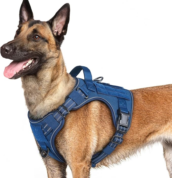 rabbitgoo Tactical Dog Harness for Large Dogs No Pull Adjustable Military Vest with Handle MOLLE Reflective Heavy Duty Dog Vest for Walking Training Hunting Outdoor Working Medium Size Dog Blue L