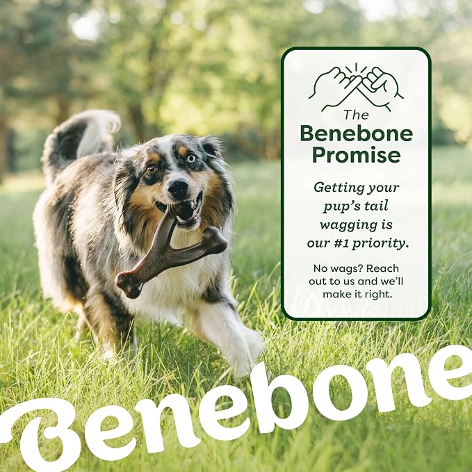 Benebone Bacon Wishbone/Rubber Bone Medium, 2-Pack