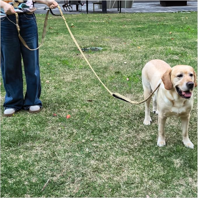 BTINESFUL 8ft Dog Leash with 3 Handles, Reflective Shork Absorbing Bungee Dog Leash, Safety Training Controlling for Large Medium Dogs (Brown, 1 in x 8 ft)