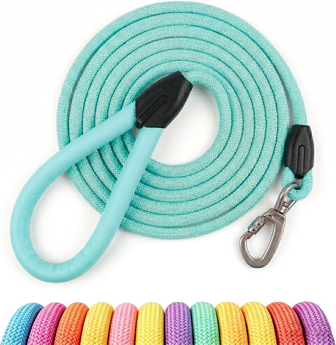 Rope Dog Leash, Macaron Colors Dog Leash, Comfortable Leather Handle, Resistant to Dirt and Bite, Strong Nylon Pet Lead for Small, Medium, Large Dogs (Mint Green, 5 Feet)