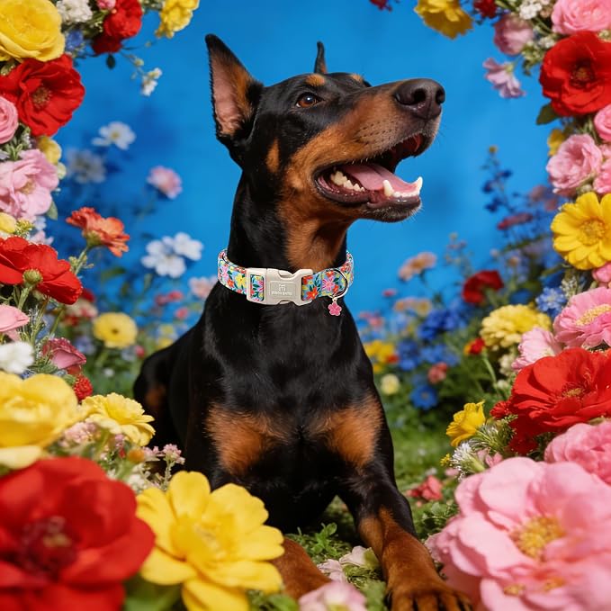 Maca Bates Flower Basic Dog Collar with Blossom Charm for Small Girl Boy Dogs, Hand-Painted Floral Pattern,Pretty Adjustable Durable Soft Flowers Collars Spring Summer Gift for Male Female Puppy