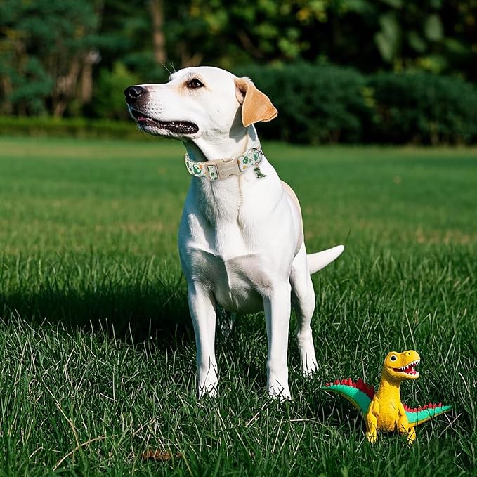 DOGWONG Dinosaur Dog Collar- Cute Summer Dog Collars Adjustable Designer Puppy Dinosaur Dog Collar for Boy Male Small Medium Large Dogs M