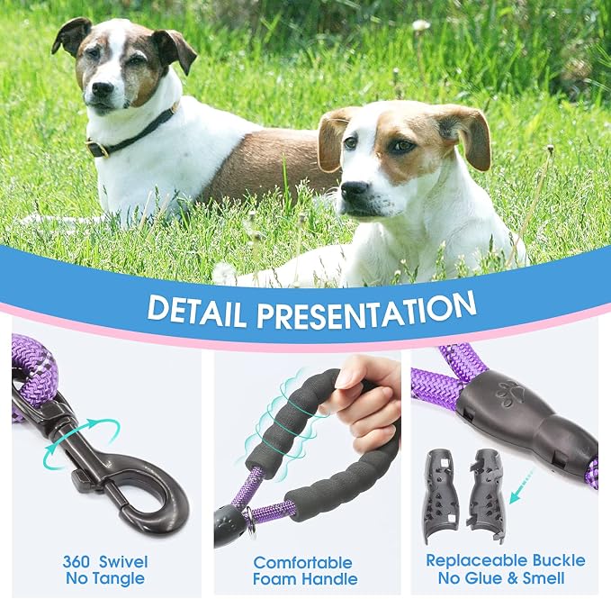 BAAPET 2/4/5/6 FT Dog Leash with Comfortable Padded Handle and Highly Reflective Threads for Small Medium and Large Dogs (2FT-1/2'', Purple)