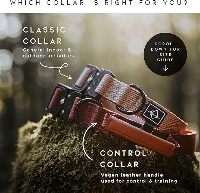 Made to ROAM Premium Dog Collar - Adjustable Heavy Duty Nylon Collar with Quick-Release Metal Buckle (Oregon Haze, Classic Size 4)