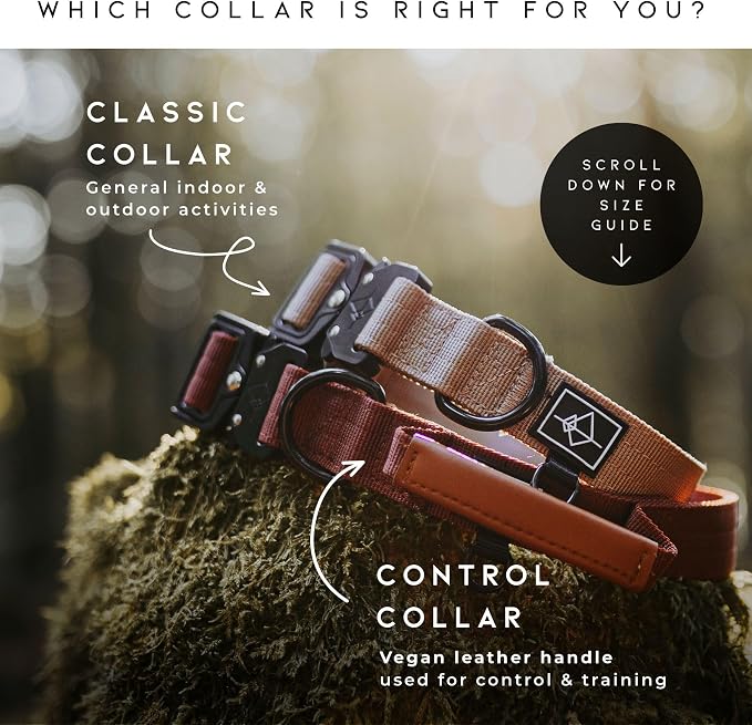 Made to ROAM Premium Explorer Control Collar - Adjustable Heavy Duty Nylon Dog Collar with Quick-Release Metal Buckle and Leather Handle (Maine Marina, Size 2, Control)