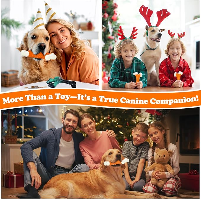 Kseroo Indestructible Dog Toys for Aggressive Chewers: Peanut Butter Flavored Hard Nylon Bone Chew Toys, Tough Dog Chew Toys for Large Dogs, Dog Toys to Keep Them Busy for Medium Large Breed, Orange