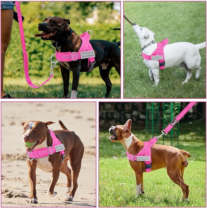 SlowTon No Pull Dog Harness - Heavy Duty Dog Harness and Leash Set for Medium Large Dogs, Reflective Tactical Harness with Soft Padded and Front Clip for Easy Walk and Training (FU, XL)