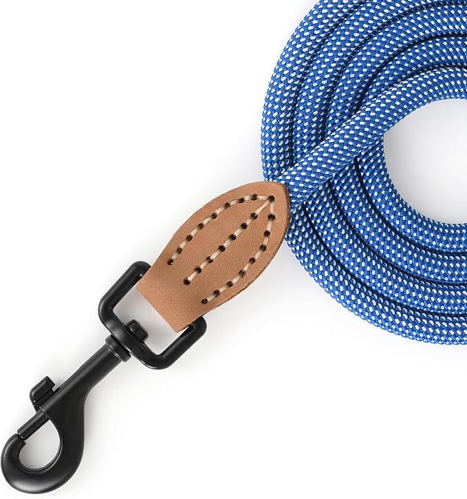 Mile High Life Small Dog Leash, Thin Rope Leash with Genuine Leather Connection and Heavy Duty Metal Clasp, Great for Small Medium Dogs(Blue White,72 Inch-1/3)