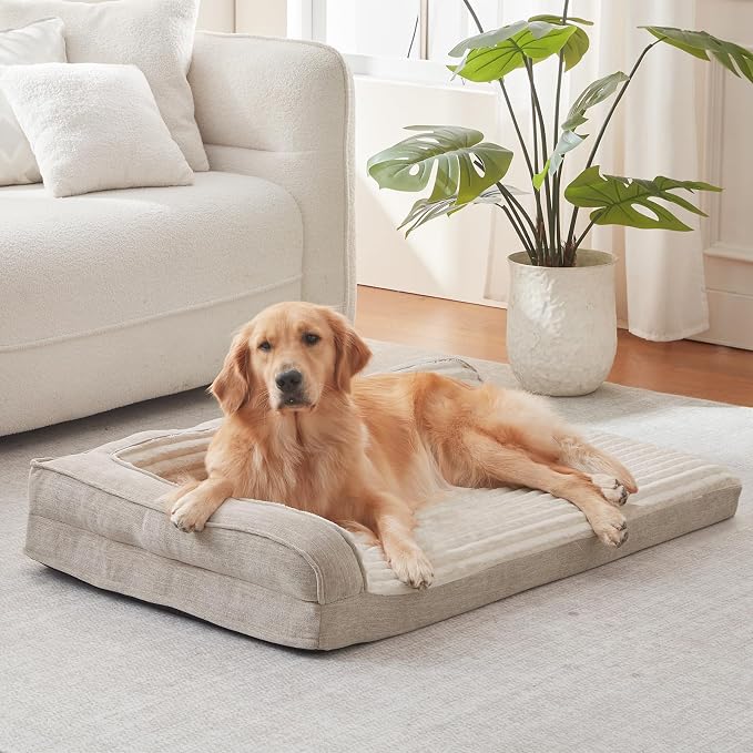 WINDRACING Orthopedic Dog Beds for Medium Dogs, Waterproof Egg Foam Dog Sofa Bed with L Bolster Sides, Washable Medium Pet Bed with Removable Cover & Non-Slip Bottom, 31 x 25 inch, Beige