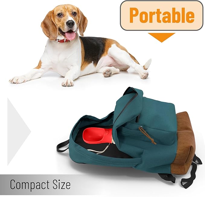Mr. Pen- Portable Dog Water Bottle, 19 oz, Large, Leak Proof Puppy Water Dispenser with Drinking Feeder for Pets, Outdoor Walking, Hiking, Travel, Not Dishwasher Safe