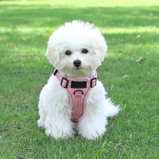 Service Dog Harness, Reflective Dog Vest Harness with 5 PCS Patches, Adjustable Soft Oxford Pet Harness, Inner Layer Mesh, Easy to Control for Small Medium Large Dogs