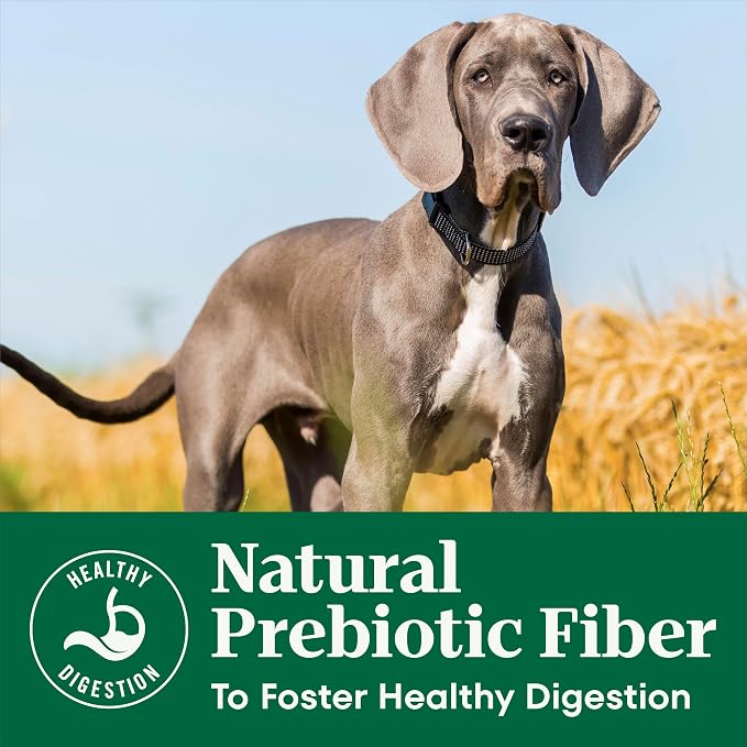 Nutro Natural Choice Dry Dog Food, Adult Dog Food Dry Lamb and Brown Rice Recipe, 12 lbs.