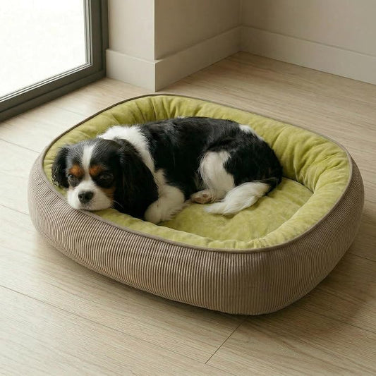 Calming Dog Bed for Medium Dogs 26"x19" - Orthopedic Washable Pet Bed with Anti-Slip Bottom, Indoor Soft Cat Bed with Removable Cover (Lime Green)