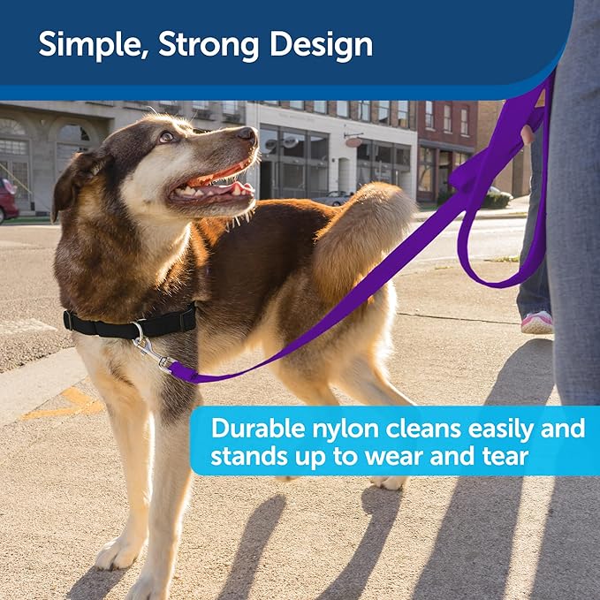 PetSafe Nylon Dog Leash - Strong, Durable, Traditional Style Leash with Easy to Use Bolt Snap - 1 in. x 6 ft., Deep Purple