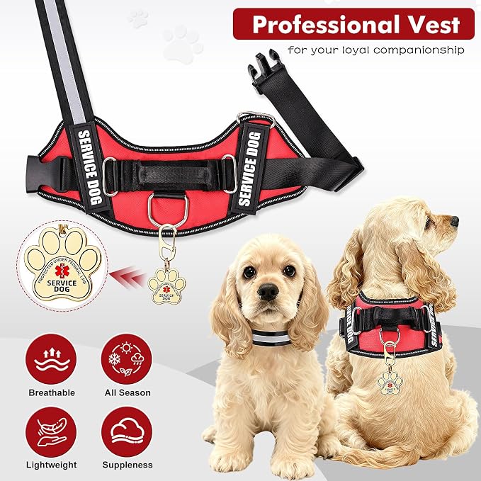 Service Dog Vest, ID Tag 50 ADA Information Cards, Service Dog Harness w Patch in Sizes XX Small to XXX Large, Metal Dog Tag has Ruggedized Clip, Service Animal Cards, ESA Accessory Set XX-Small