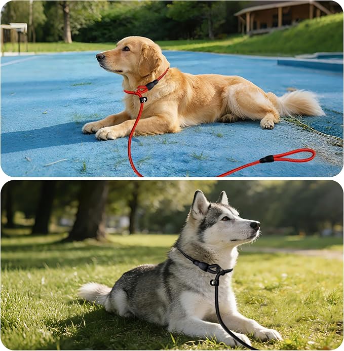 FOVRLZSE Nylon Dog Leash 11-Pack (11 Assorted Colors), 4.6FT for Small to Medium Dogs, 10mm Braided Nylon with TPU Non-Slip Buckle, Daily Walking & Puppy Training