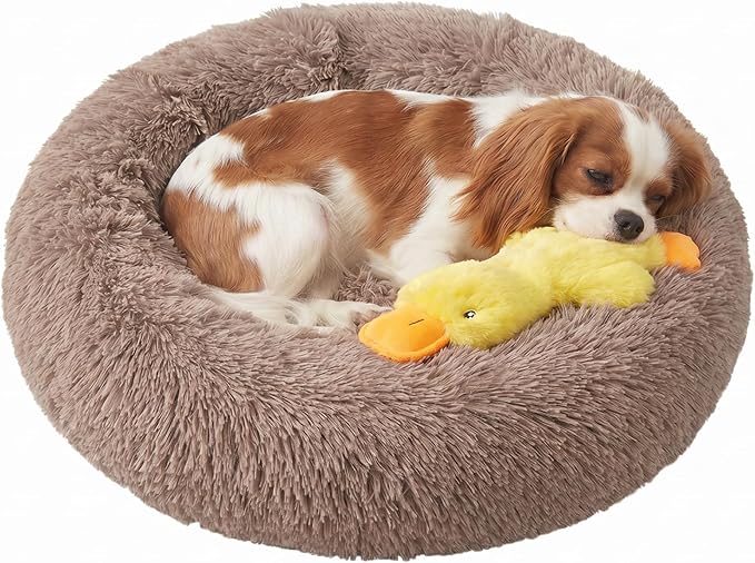 Whiskers & Friends Small Dog Bed Washable, Fluffy Orthopedic Dog Bed Small, Puppy Calming Beds, Large Cat Beds for Indoor Cats - Perfect for Pets Under 25 Pounds - Camel